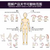 2020 New Style 158cm Huge Breast Sex Toys Pussy Doll Silicone Doll Realistic Adult Sex Dolls for Men from AutomaticWoman
